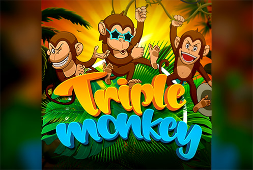 Triple Monkey