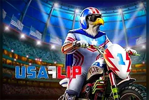USA Flip