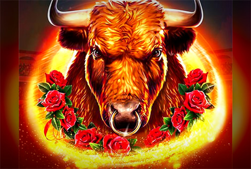 Bull Fever
